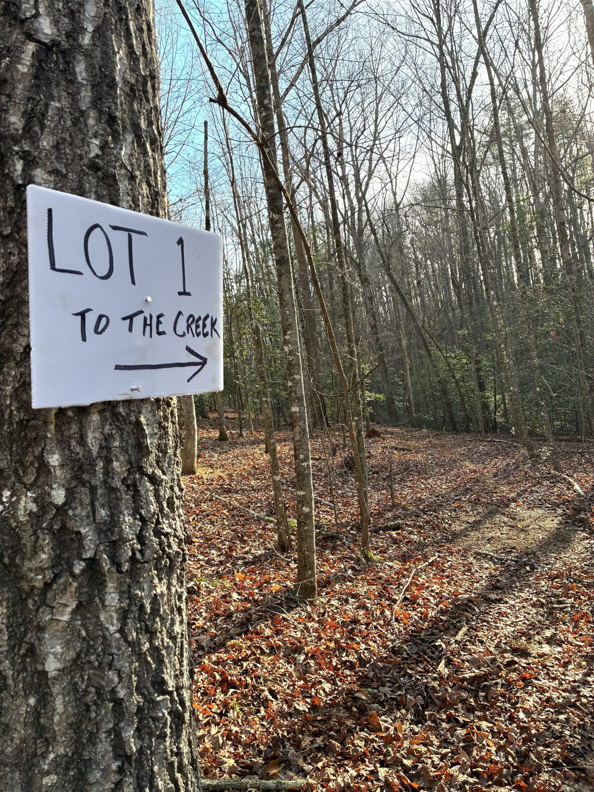 Handwritten sign on a tree pointing to Lot 1 and the creek.