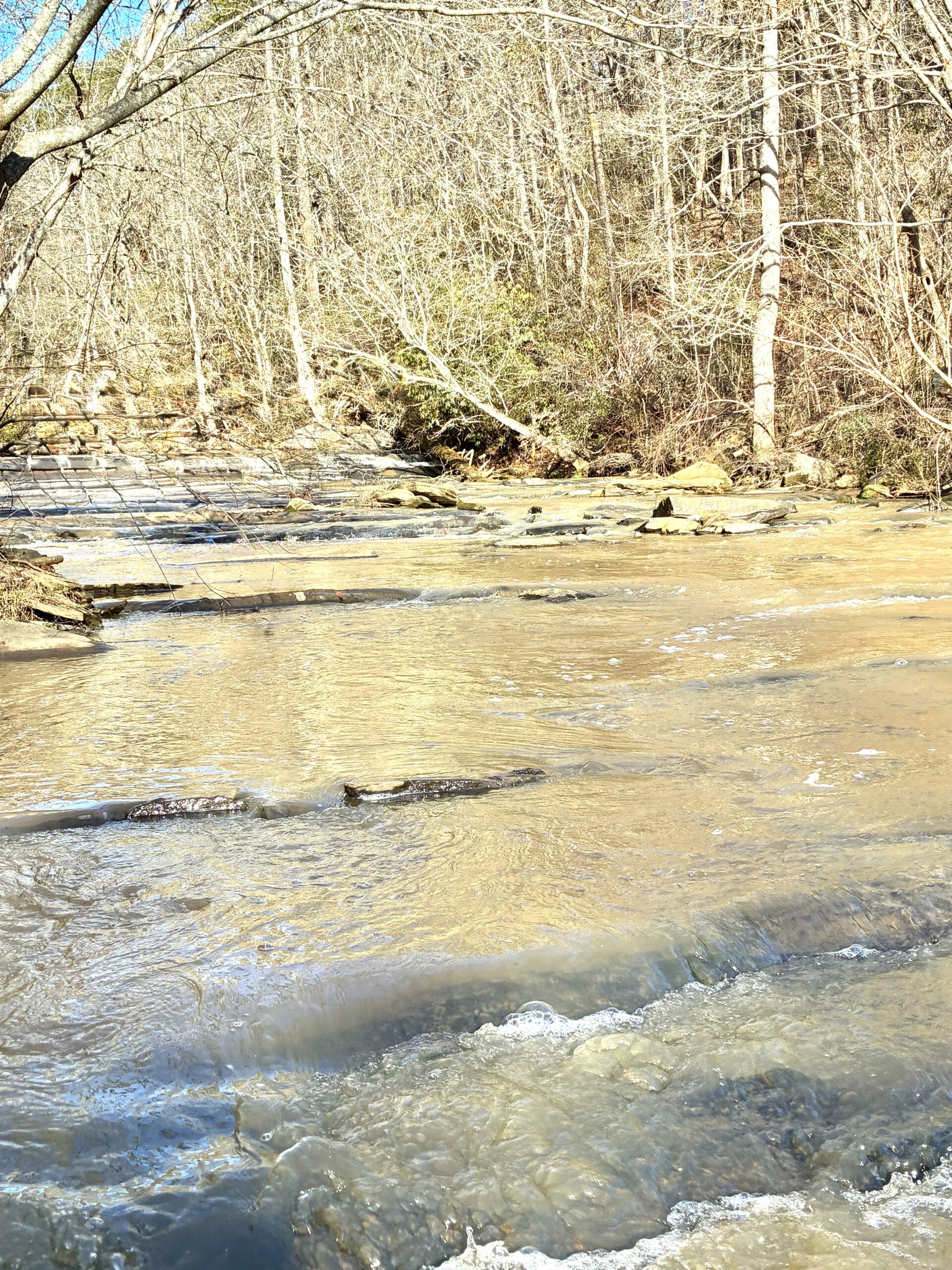 A shallow river flowing through a leafless forest in winter.