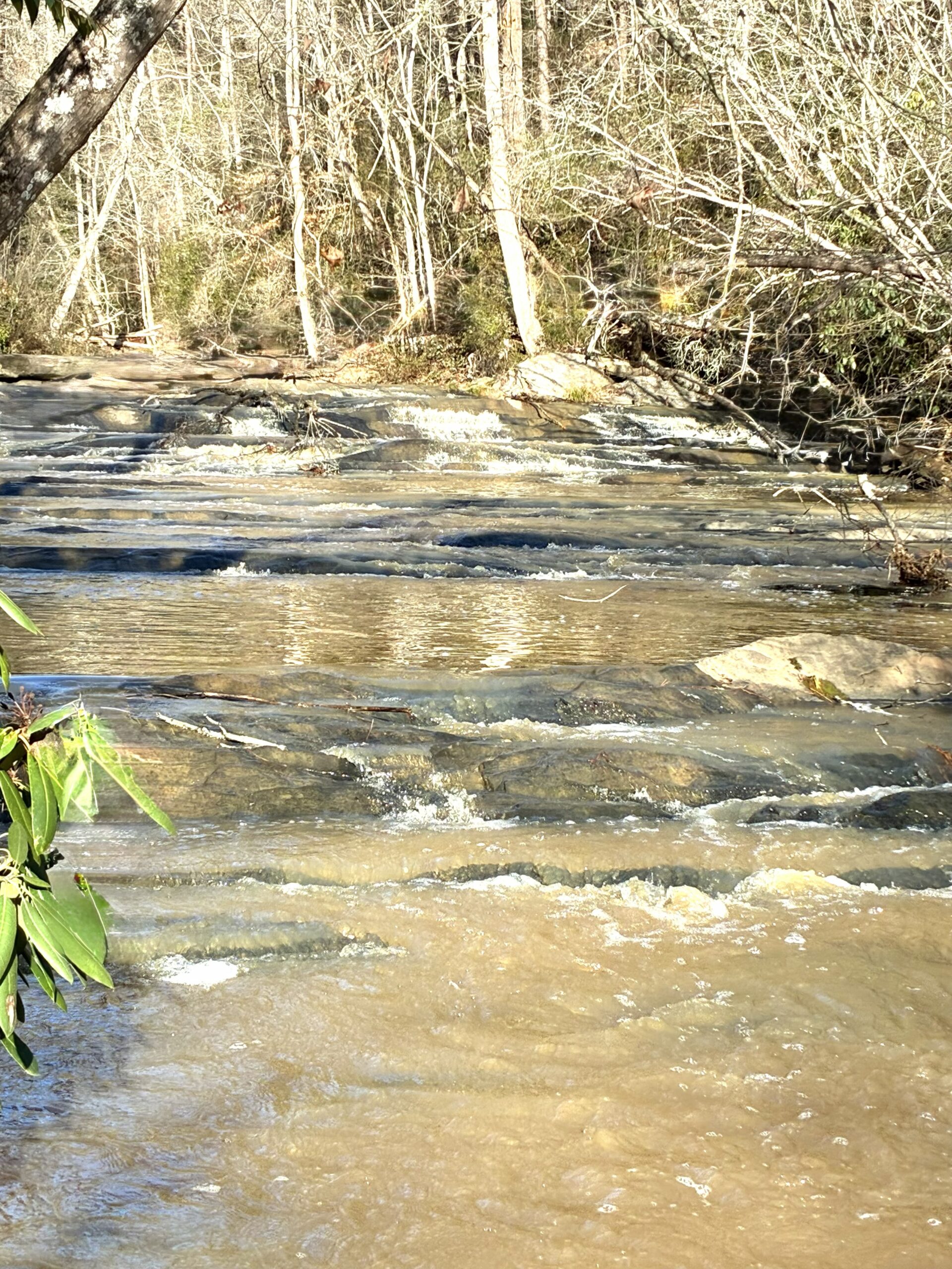 A shallow creek flowing over smooth rocks surrounded by trees.