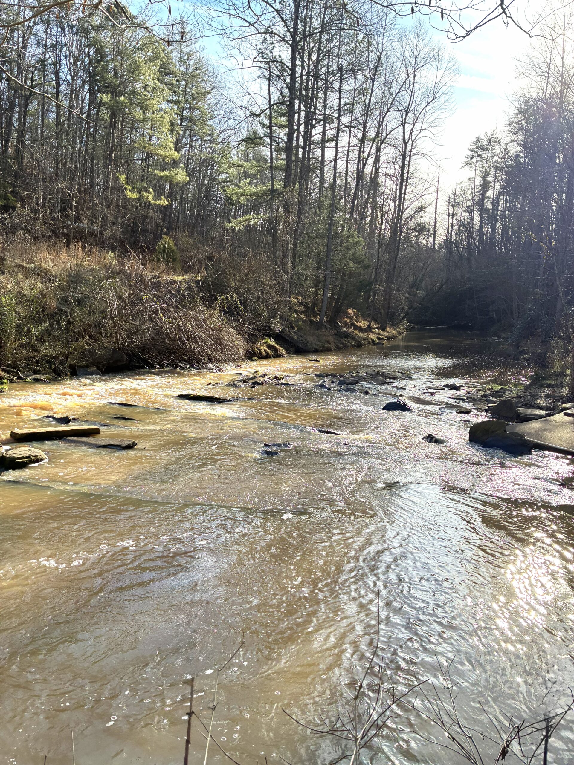 A serene river flowing through a forested area with sunlight filtering through trees.