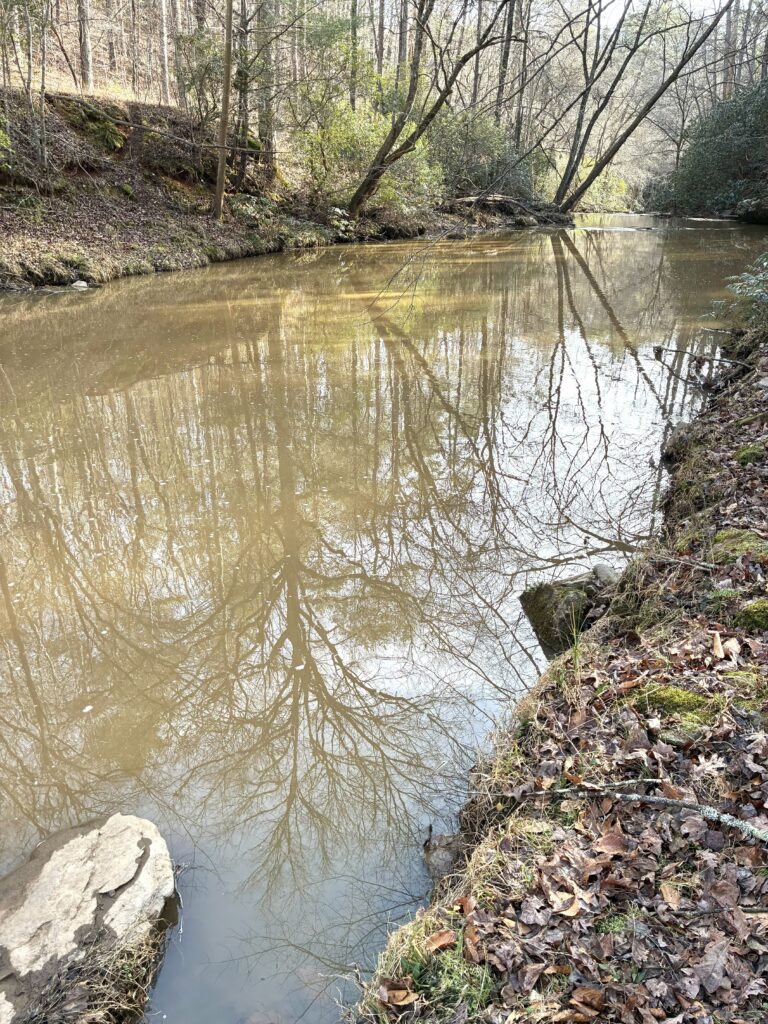 A calm, muddy river reflecting trees and sky on a cloudy day.