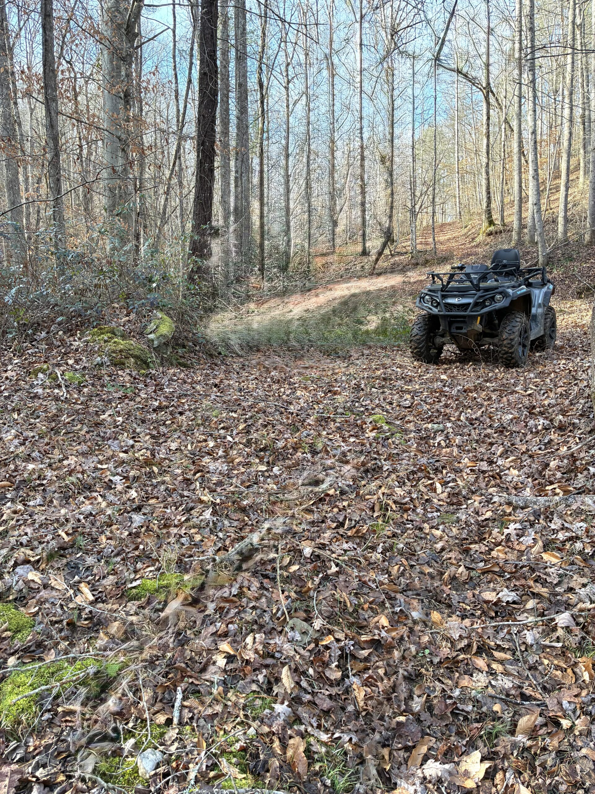 ATV parked on a forest trail covered with fallen leaves.