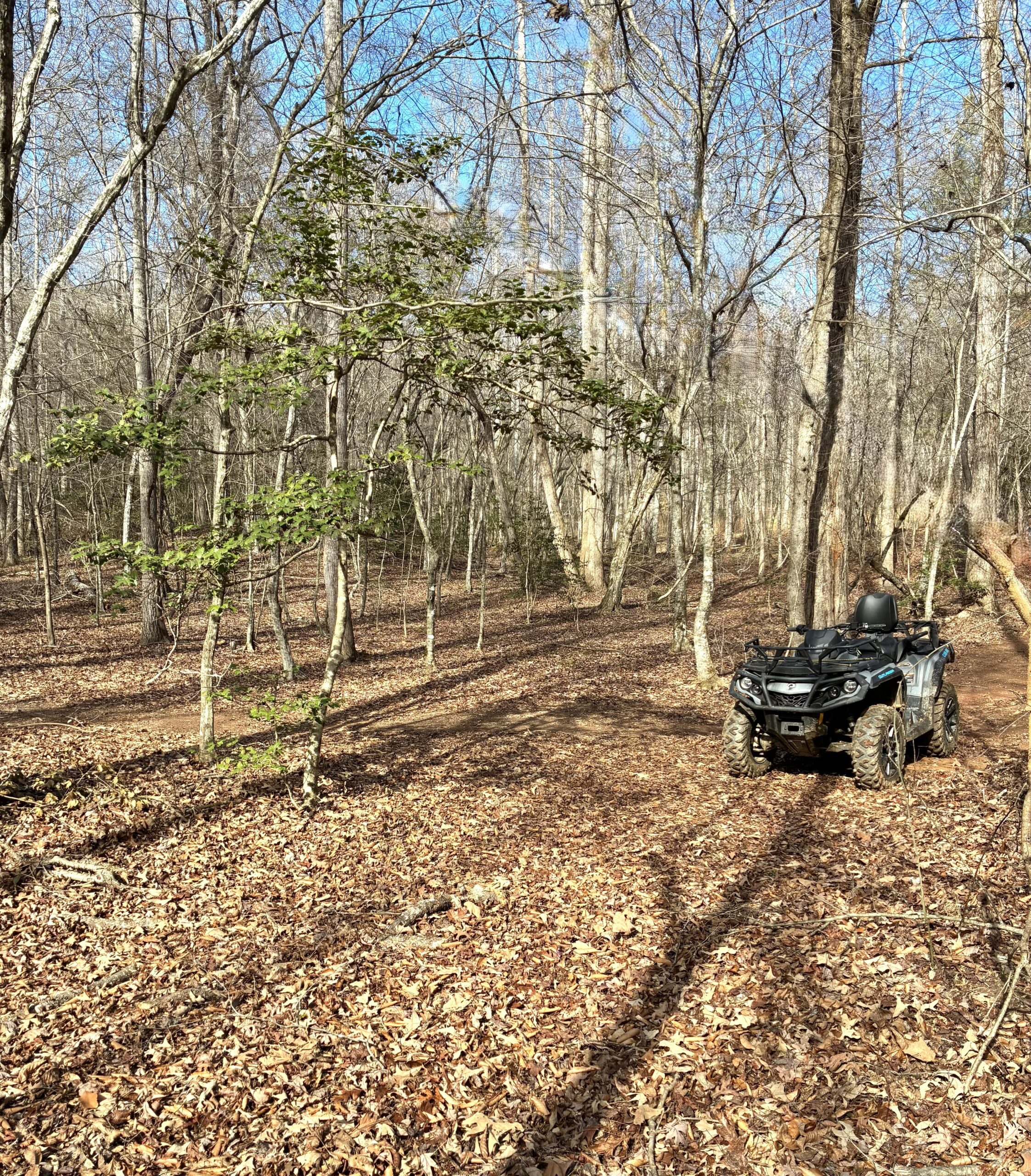A black ATV parked in a wooded area with leaf-covered ground.