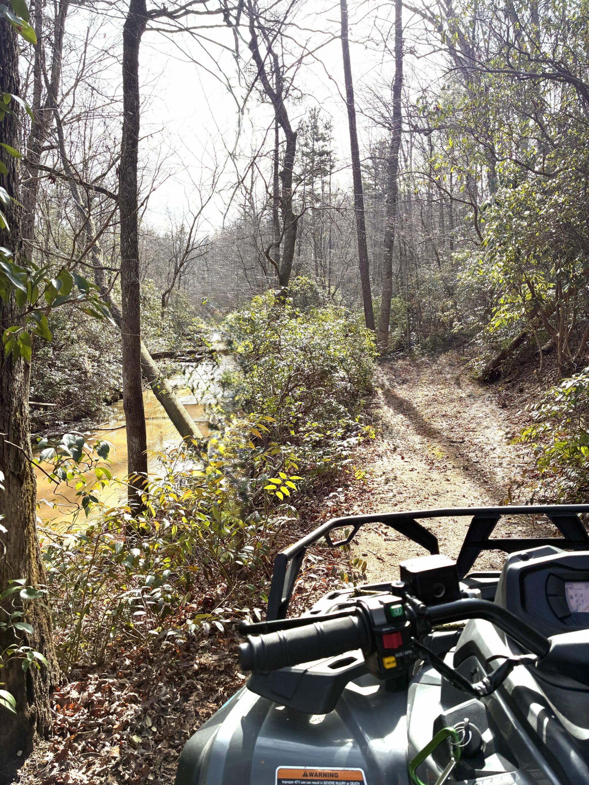 A bike on a forest trail beside a stream in autumn.