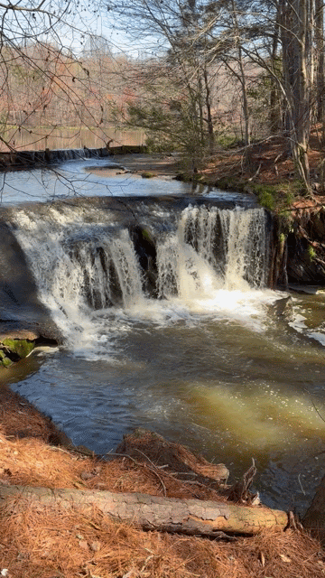 A peaceful waterfall cascading into a river surrounded by trees.